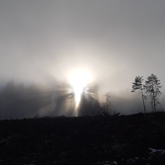 Meet your Posher, TL - Picture 2 of 14